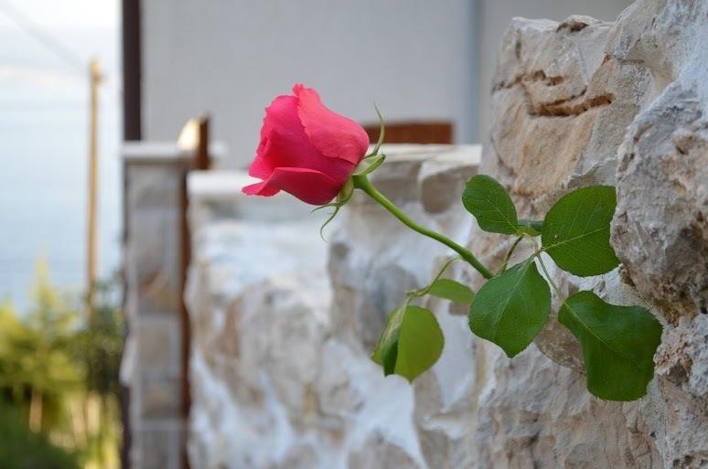 Holiday Villa In أوميس الغرفة الصورة